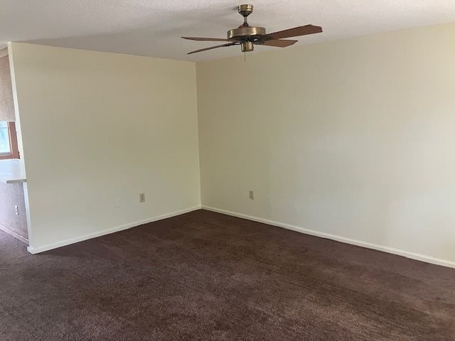 Gallery Photo 3